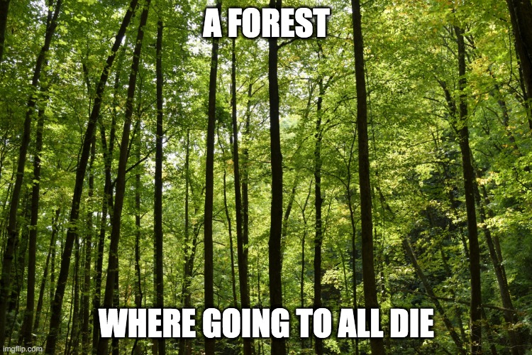 wre all going to die | A FOREST; WHERE GOING TO ALL DIE | image tagged in die | made w/ Imgflip meme maker