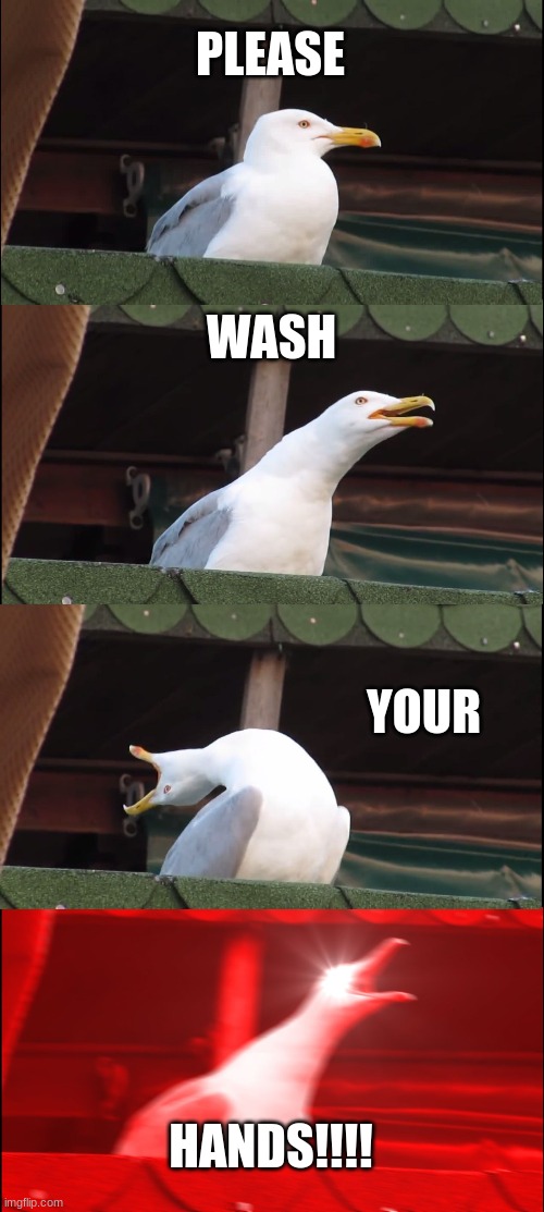 PLEASE FOR THE LOVE!! | PLEASE; WASH; YOUR; HANDS!!!! | image tagged in memes,inhaling seagull | made w/ Imgflip meme maker
