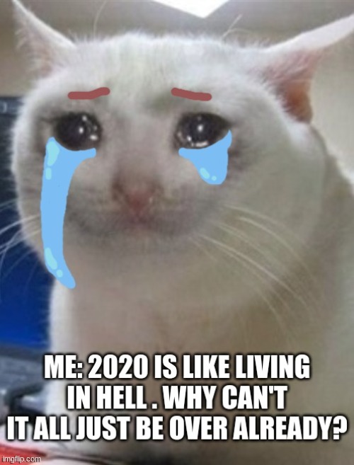life sucks | image tagged in crying cat | made w/ Imgflip meme maker