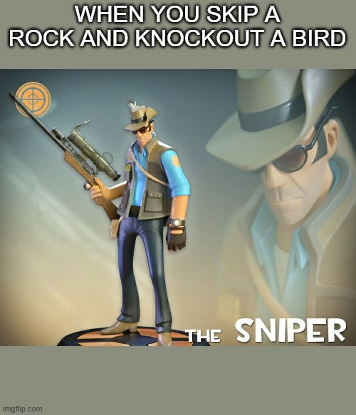 Bruh | WHEN YOU SKIP A ROCK AND KNOCKOUT A BIRD | image tagged in online gaming | made w/ Imgflip meme maker