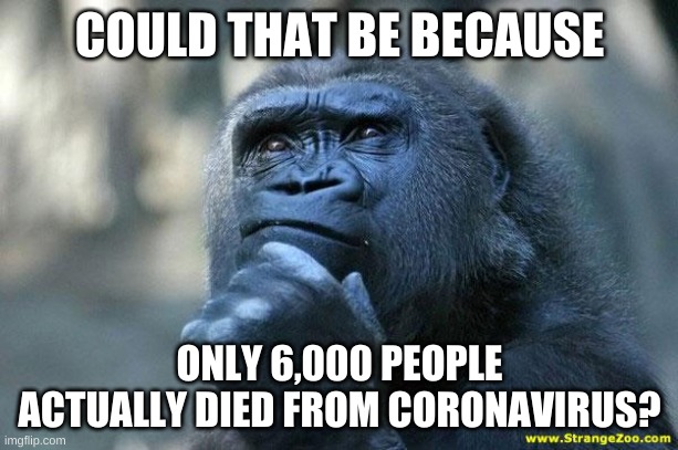 Deep Thoughts | COULD THAT BE BECAUSE ONLY 6,000 PEOPLE ACTUALLY DIED FROM CORONAVIRUS? | image tagged in deep thoughts | made w/ Imgflip meme maker