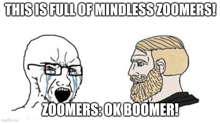 OK BOOMER! | THIS IS FULL OF MINDLESS ZOOMERS! ZOOMERS: OK BOOMER! | image tagged in you cant do that,ok boomer | made w/ Imgflip meme maker