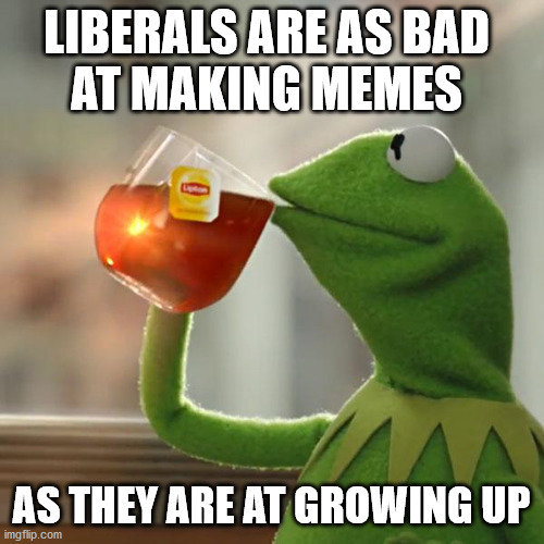 But That's None Of My Business Meme | LIBERALS ARE AS BAD 
AT MAKING MEMES AS THEY ARE AT GROWING UP | image tagged in memes,but that's none of my business,kermit the frog | made w/ Imgflip meme maker