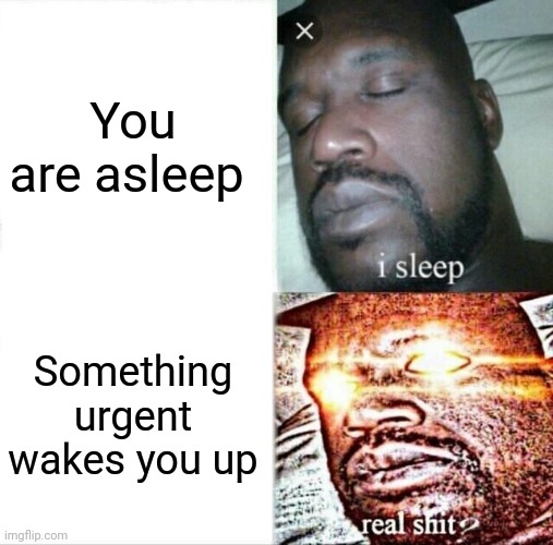 Sleeping Shaq | You are asleep; Something urgent wakes you up | image tagged in memes,sleeping shaq | made w/ Imgflip meme maker