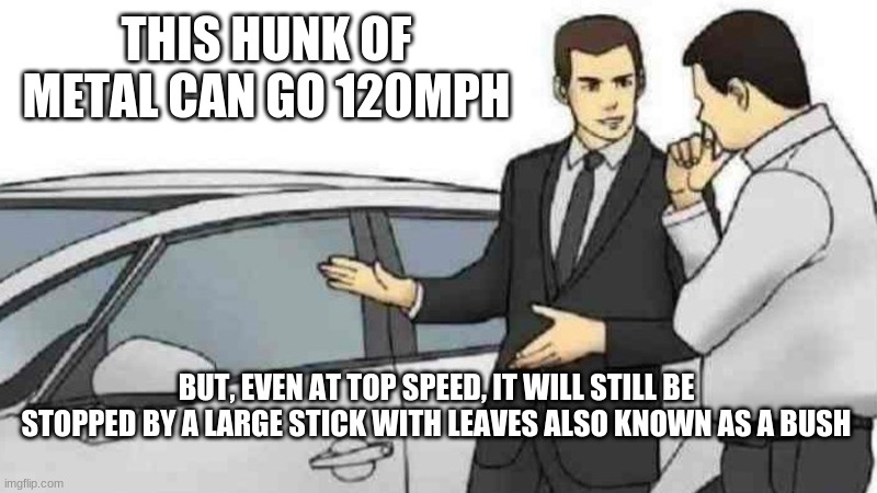 Car Salesman Slaps Roof Of Car | THIS HUNK OF METAL CAN GO 120MPH; BUT, EVEN AT TOP SPEED, IT WILL STILL BE STOPPED BY A LARGE STICK WITH LEAVES ALSO KNOWN AS A BUSH | image tagged in memes,car salesman slaps roof of car | made w/ Imgflip meme maker