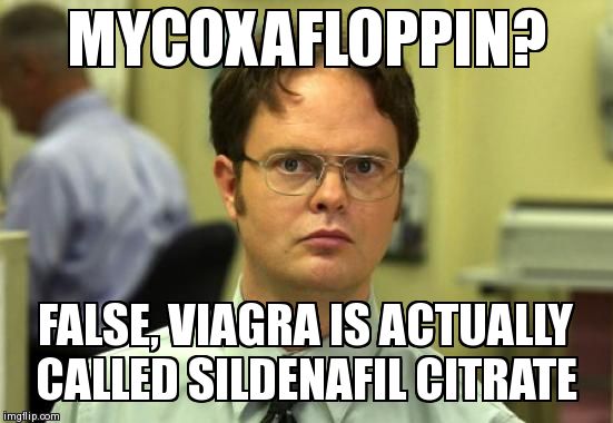 Dwight Schrute Meme | image tagged in memes,dwight schrute | made w/ Imgflip meme maker