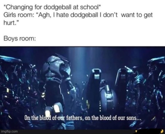 image tagged in halo,memes,dodgeball,the shipmaster | made w/ Imgflip meme maker