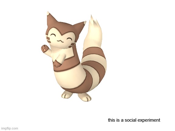 Blank White Template | this is a social experiment | image tagged in blank white template,furret,pokemon,this is a social experiment | made w/ Imgflip meme maker