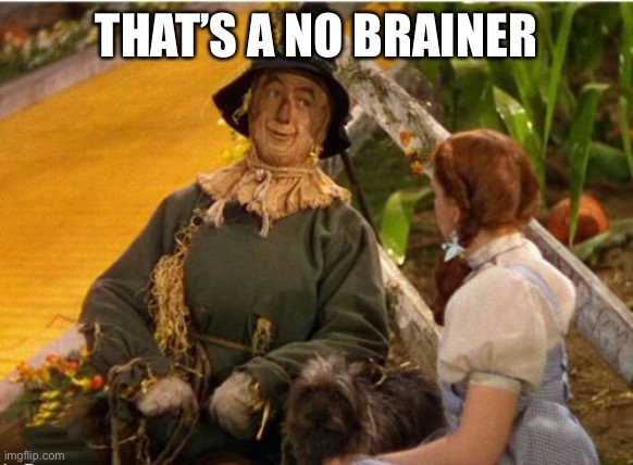 No brainer | THAT’S A NO BRAINER | image tagged in no brainer | made w/ Imgflip meme maker