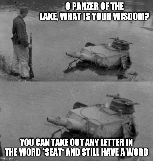 Panzer of the lake | O PANZER OF THE LAKE, WHAT IS YOUR WISDOM? YOU CAN TAKE OUT ANY LETTER IN THE WORD *SEAT* AND STILL HAVE A WORD | image tagged in panzer of the lake | made w/ Imgflip meme maker