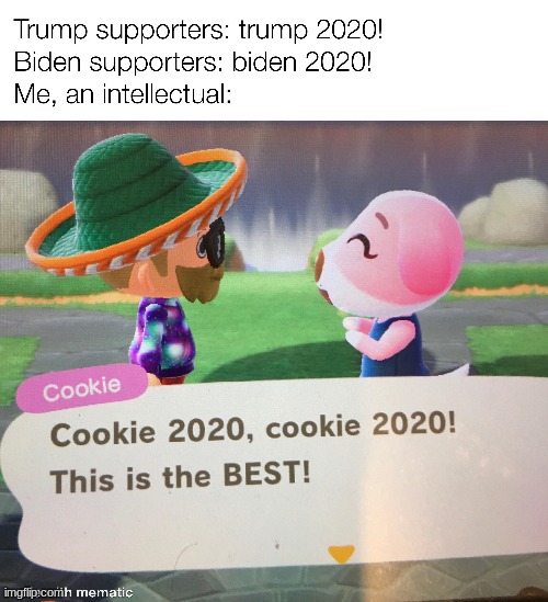 Can I be a mod of this server please? | image tagged in cookie,animal crossing | made w/ Imgflip meme maker