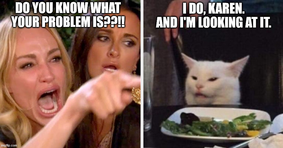 Know What Problem Is | DO YOU KNOW WHAT YOUR PROBLEM IS??!! I DO, KAREN. AND I'M LOOKING AT IT. | image tagged in woman,cat,screaming,pointing | made w/ Imgflip meme maker