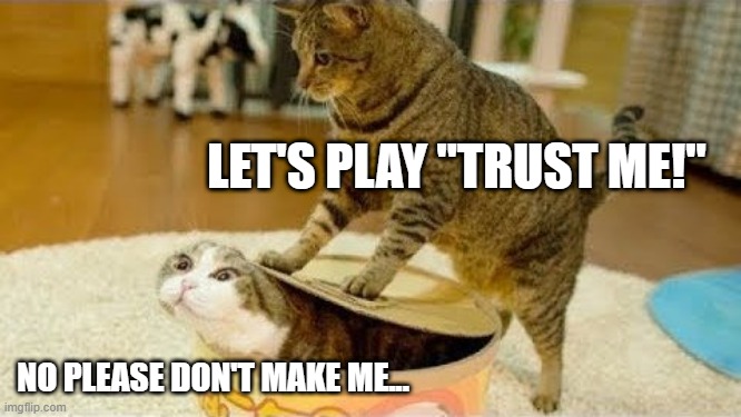 bad kitty... | LET'S PLAY "TRUST ME!"; NO PLEASE DON'T MAKE ME... | image tagged in memes,funny,cats,argument,games,fight | made w/ Imgflip meme maker