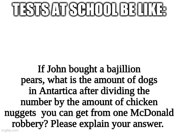 Blank White Template | TESTS AT SCHOOL BE LIKE:; If John bought a bajillion pears, what is the amount of dogs in Antartica after dividing the number by the amount of chicken nuggets  you can get from one McDonald robbery? Please explain your answer. | image tagged in blank white template | made w/ Imgflip meme maker