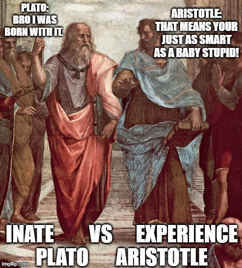 Plato Aristotle and Psychology | ARISTOTLE: THAT MEANS YOUR JUST AS SMART AS A BABY STUPID! PLATO: BRO I WAS BORN WITH IT. INATE         VS      EXPERIENCE
PLATO       ARISTOTLE | image tagged in psychology | made w/ Imgflip meme maker