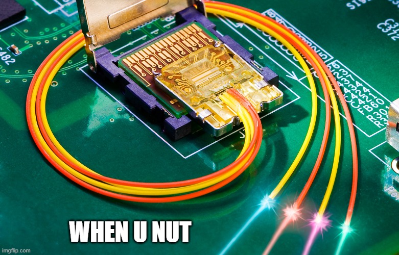 WHEN U NUT | image tagged in nut button,blank nut button,no nut november | made w/ Imgflip meme maker