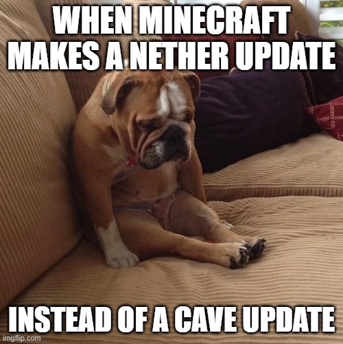 bulldogsad | WHEN MINECRAFT MAKES A NETHER UPDATE; INSTEAD OF A CAVE UPDATE | image tagged in bulldogsad | made w/ Imgflip meme maker