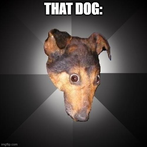 Depression Dog Meme | THAT DOG: | image tagged in memes,depression dog | made w/ Imgflip meme maker