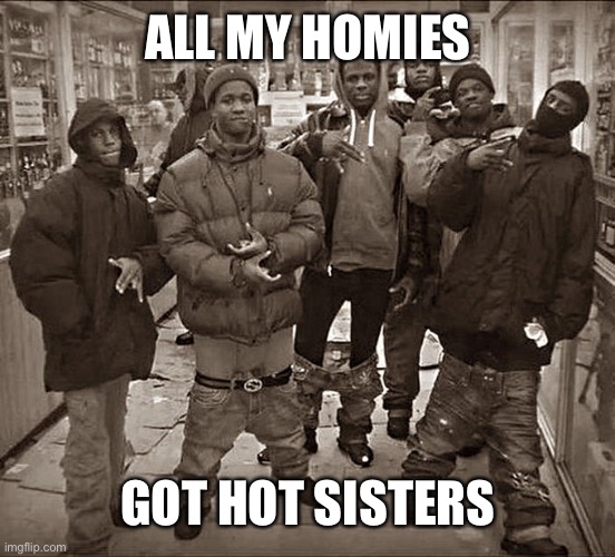 All My Homies Hate | ALL MY HOMIES; GOT HOT SISTERS | image tagged in all my homies hate | made w/ Imgflip meme maker