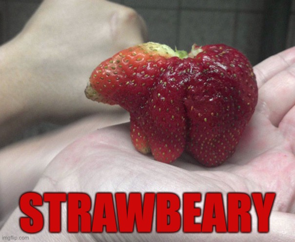 Strawbeary | STRAWBEARY | image tagged in funny memes,strawberry | made w/ Imgflip meme maker