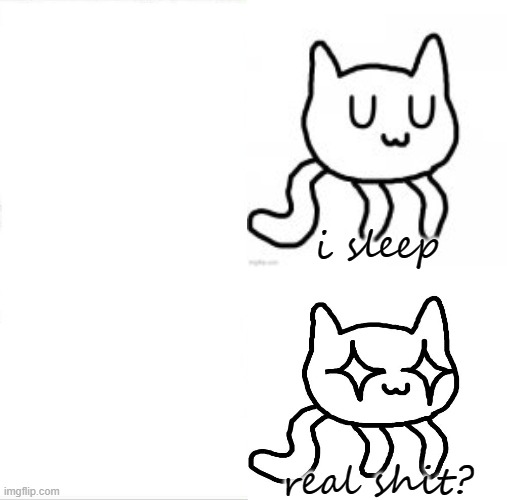 Sleeping UwU Cat Blank Meme Template