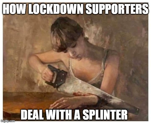 Lockdown Reality | HOW LOCKDOWN SUPPORTERS; DEAL WITH A SPLINTER | image tagged in covid-19,covid19,coronavirus,scam,scammers | made w/ Imgflip meme maker