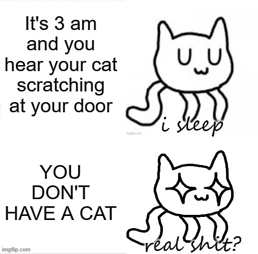 Sleeping UwU Cat | It's 3 am and you hear your cat scratching at your door; YOU DON'T HAVE A CAT | image tagged in sleeping uwu cat,new template | made w/ Imgflip meme maker