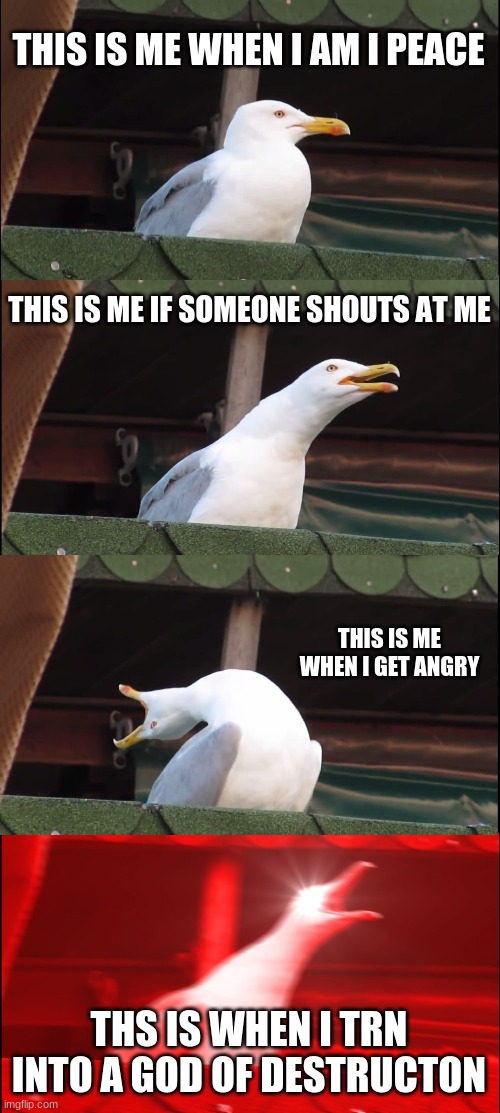 Inhaling Seagull | THIS IS ME WHEN I AM I PEACE; THIS IS ME IF SOMEONE SHOUTS AT ME; THIS IS ME WHEN I GET ANGRY; THS IS WHEN I TRN INTO A GOD OF DESTRUCTON | image tagged in memes,inhaling seagull | made w/ Imgflip meme maker