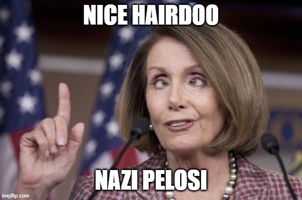 Nancy pelosi | NICE HAIRDOO; NAZI PELOSI | image tagged in nancy pelosi | made w/ Imgflip meme maker