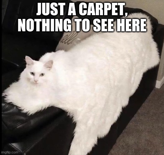 Master of disguise | JUST A CARPET, NOTHING TO SEE HERE | image tagged in cats,couch potato | made w/ Imgflip meme maker