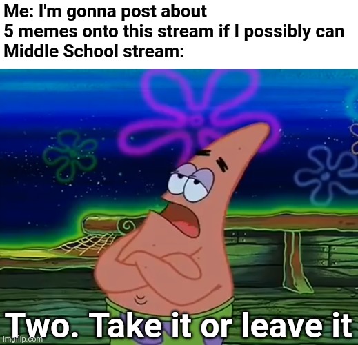 I really don't like this new rule, to be honest | Me: I'm gonna post about 5 memes onto this stream if I possibly can
Middle School stream:; Two. Take it or leave it | image tagged in take it or leave it,memes,auto mod,imgflip mods,middle school | made w/ Imgflip meme maker