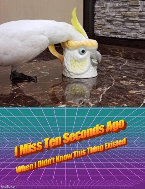 image tagged in i miss ten seconds ago | made w/ Imgflip meme maker