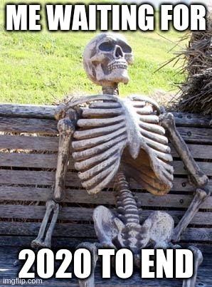 lol | ME WAITING FOR; 2020 TO END | image tagged in memes,waiting skeleton | made w/ Imgflip meme maker