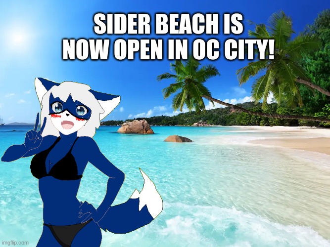 It's Time! |  SIDER BEACH IS NOW OPEN IN OC CITY! | made w/ Imgflip meme maker