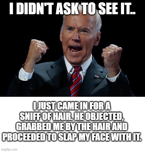 I DIDN'T ASK TO SEE IT.. I JUST CAME IN FOR A SNIFF OF HAIR. HE OBJECTED, GRABBED ME BY THE HAIR AND PROCEEDED TO SLAP MY FACE WITH IT. | image tagged in blank white template | made w/ Imgflip meme maker
