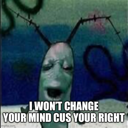 Plankton gets served | I WON’T CHANGE YOUR MIND CUS YOUR RIGHT | image tagged in plankton gets served | made w/ Imgflip meme maker