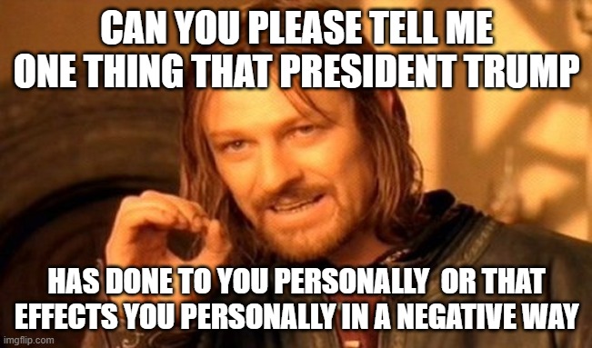 One Does Not Simply Meme | CAN YOU PLEASE TELL ME ONE THING THAT PRESIDENT TRUMP; HAS DONE TO YOU PERSONALLY  OR THAT EFFECTS YOU PERSONALLY IN A NEGATIVE WAY | image tagged in memes,one does not simply | made w/ Imgflip meme maker