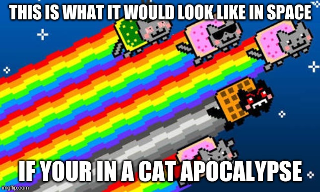 Nyan cat | THIS IS WHAT IT WOULD LOOK LIKE IN SPACE; IF YOUR IN A CAT APOCALYPSE | image tagged in nyan cat,funny memes | made w/ Imgflip meme maker