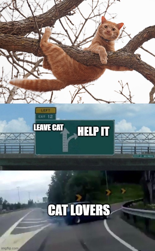 HELP IT; LEAVE CAT; CAT LOVERS | image tagged in memes,left exit 12 off ramp | made w/ Imgflip meme maker