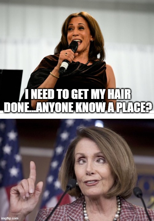 Hair Appointment | I NEED TO GET MY HAIR DONE...ANYONE KNOW A PLACE? | image tagged in nancy pelosi,kamala harris | made w/ Imgflip meme maker