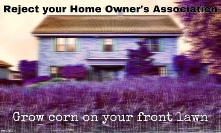 big get off my lawn energy (repost) | image tagged in reposts,repost,reposts are awesome,corn,lawn,get off my lawn | made w/ Imgflip meme maker