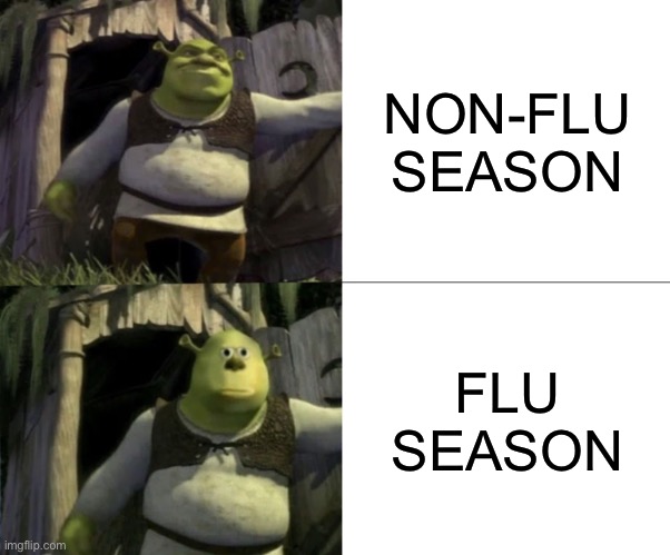Face swap if you have a flu | NON-FLU SEASON; FLU SEASON | image tagged in shocked shrek face swap,shrek,flu,memes | made w/ Imgflip meme maker