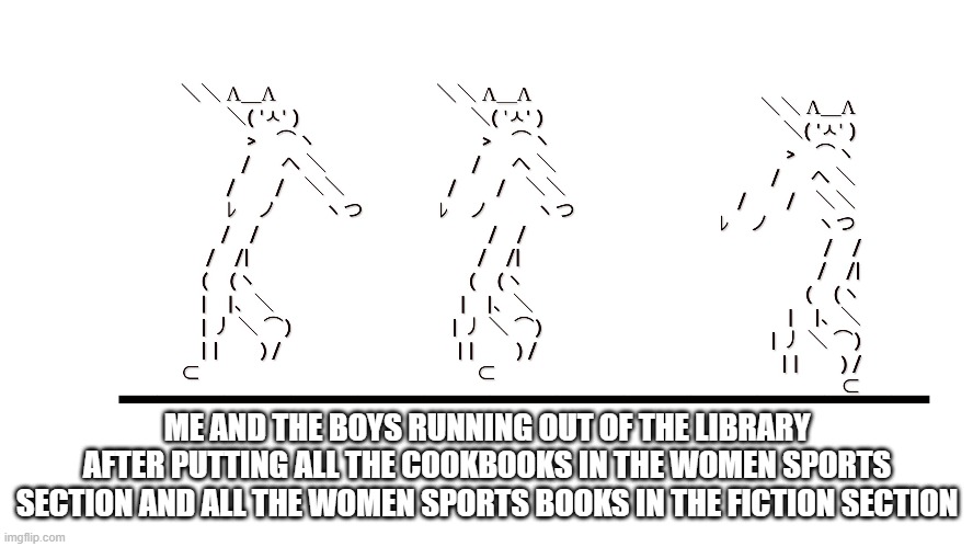 memecat dancn | ME AND THE BOYS RUNNING OUT OF THE LIBRARY AFTER PUTTING ALL THE COOKBOOKS IN THE WOMEN SPORTS SECTION AND ALL THE WOMEN SPORTS BOOKS IN THE FICTION SECTION | image tagged in memecat dancn,me and the boys | made w/ Imgflip meme maker
