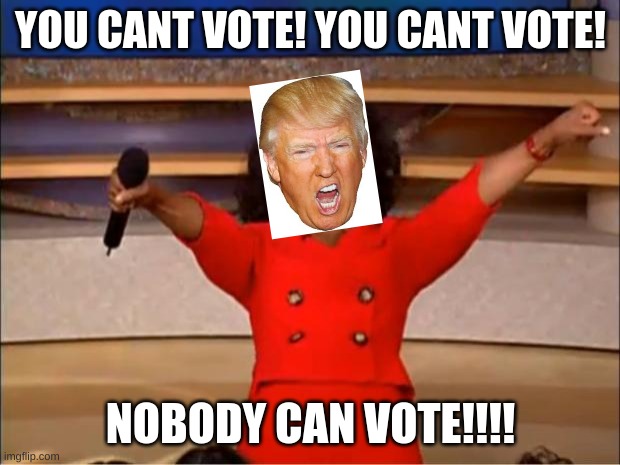 Oprah You Get A Meme | YOU CANT VOTE! YOU CANT VOTE! NOBODY CAN VOTE!!!! | image tagged in memes,oprah you get a | made w/ Imgflip meme maker