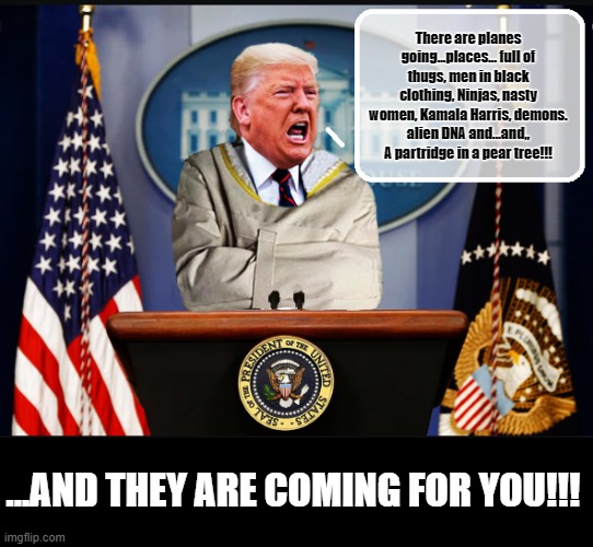 President Word Association | There are planes going...places... full of thugs, men in black clothing, Ninjas, nasty women, Kamala Harris, demons. alien DNA and...and,, A partridge in a pear tree!!! ...AND THEY ARE COMING FOR YOU!!! | image tagged in insane,trump is a moron,donald trump is an idiot | made w/ Imgflip meme maker