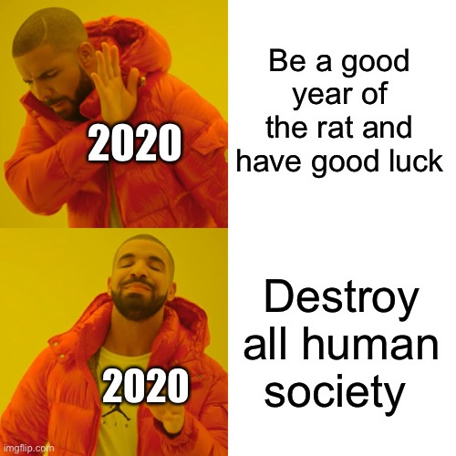 Be a good year of the rat and have good luck Destroy all human society 2020 2020 | image tagged in memes,drake hotline bling | made w/ Imgflip meme maker