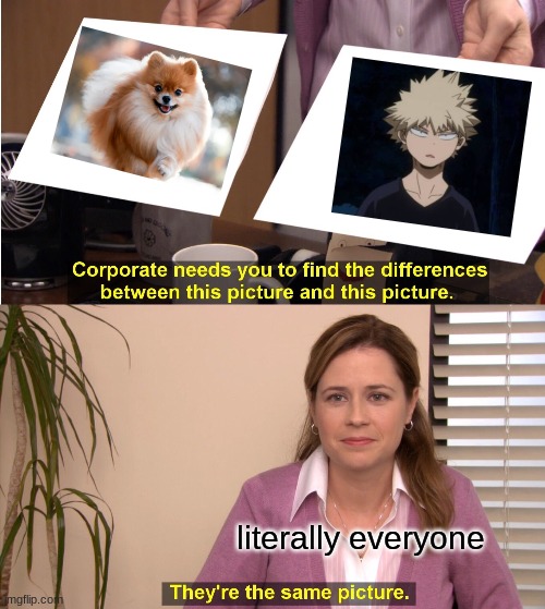 bakugou is a pomeranian (OwO) | literally everyone | image tagged in memes,they're the same picture,bnha,bakugou | made w/ Imgflip meme maker