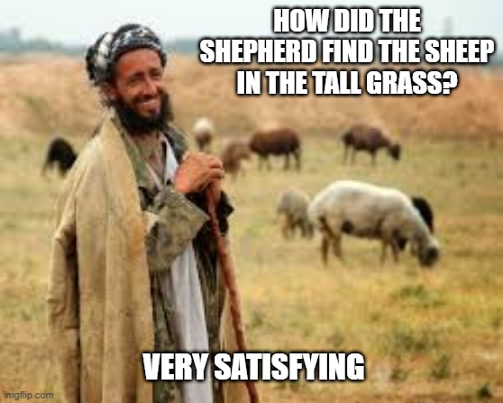 Fluffy Love | HOW DID THE SHEPHERD FIND THE SHEEP IN THE TALL GRASS? VERY SATISFYING | image tagged in shepherd | made w/ Imgflip meme maker