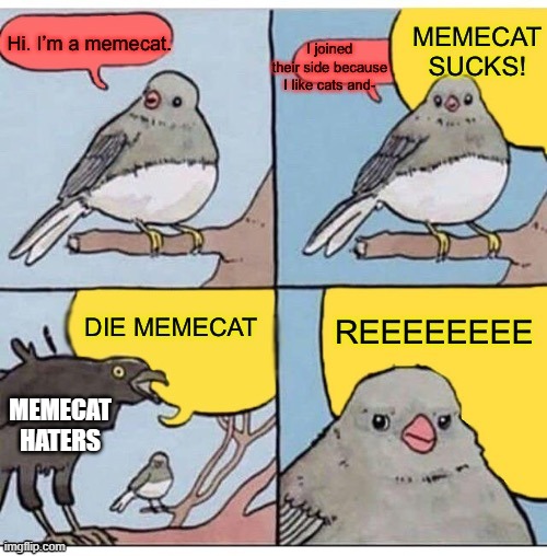 lol i suck bad. I'm the worst and salty. MEMECAT IS OLD NEWS!. Salty... | MEMECAT HATERS | image tagged in memecat,annoyed bird | made w/ Imgflip meme maker