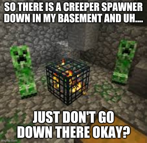 If you die 's not my fault | SO THERE IS A CREEPER SPAWNER DOWN IN MY BASEMENT AND UH.... JUST DON'T GO DOWN THERE OKAY? | made w/ Imgflip meme maker